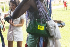 2nd June 2018 - No10 Vigil giving out Bollocks to Brexit stickers to people going to the Field Day festival in Brockwell Park, London