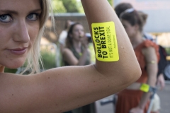 2nd June 2018 - No10 Vigil giving out Bollocks to Brexit stickers to people going to the Field Day festival in Brockwell Park, London