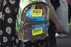 2nd June 2018 - No10 Vigil giving out Bollocks to Brexit stickers to people going to the Field Day festival in Brockwell Park, London